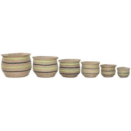 Tegla za biljke Home ESPRIT Smeđa Zelena Vlakna Arap 44 x 44 x 33 cm (6 kom.) Cijena