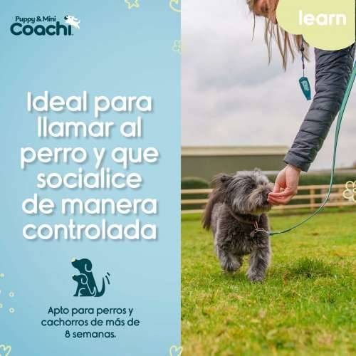 Orma za pse Coachi Cijena