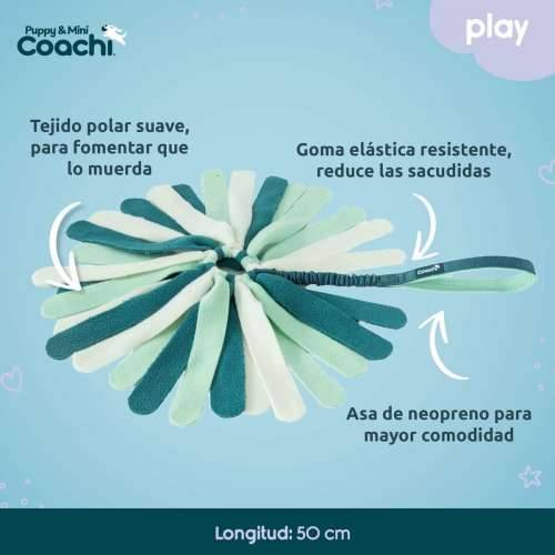 Orma za pse Coachi Cijena