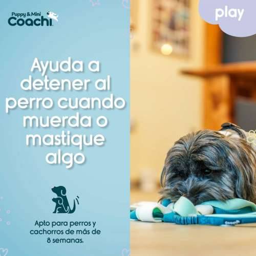 Orma za pse Coachi Cijena