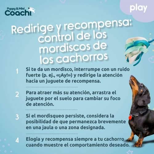 Orma za pse Coachi Cijena