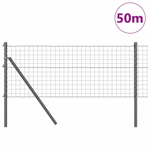 Euro Ograda sa 13 Stupova 0.6x50 m Galvanizirani Čelik Siva Cijena