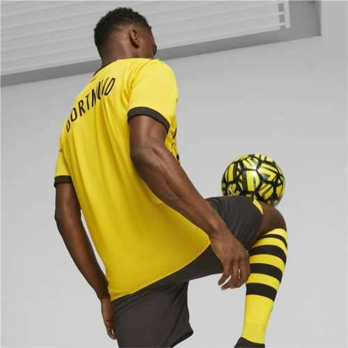 Muška Majica Kratkih Rukava Puma Borussia Dortmund L Cijena