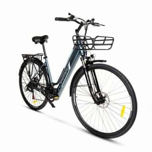 Električni Bicikl Smartgyro SG27-372 Siva Titanijum 250 W Cijena
