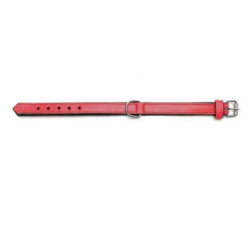 Ogrlica za pse Gloria S podstavom Crvena 55 cm (55 x 2,5 cm) Cijena