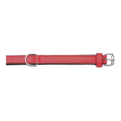Ogrlica za pse Gloria S podstavom Crvena 55 cm (55 x 2,5 cm) Cijena