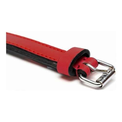 Ogrlica za pse Gloria S podstavom Crvena 55 cm (55 x 2,5 cm) Cijena