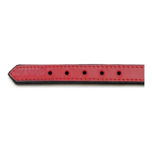 Ogrlica za pse Gloria S podstavom Crvena 55 cm (55 x 2,5 cm) Cijena