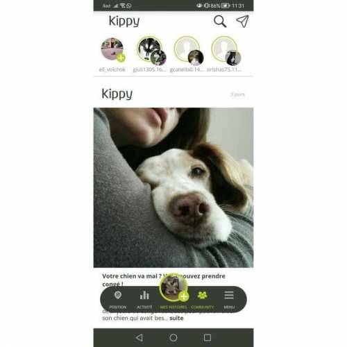 Lokalizator Izgubljenog Uređaja KIPPY Rumena Cijena