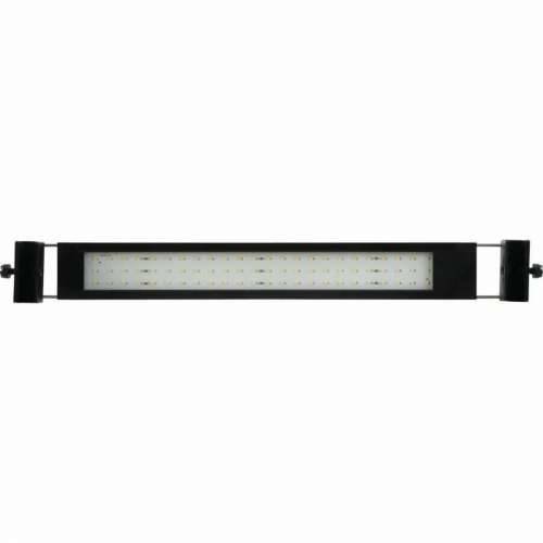 LED trake Zolux 15 m 45 cm 500 mm 1 m 4 m 48 m 50 m 140 cm 1,5 m 3,5 m 0,5 m 300 cm 53 cm 7,5 m Hladno svjetlo Cijena
