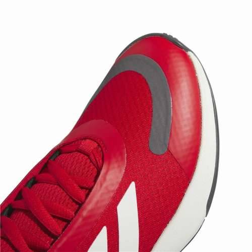 Košarkaške Tenisice za Odrasle Adidas Bounce Legends Escmej Crvena Cijena