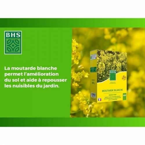 Biljno gnojivo BHS 500 g Cijena