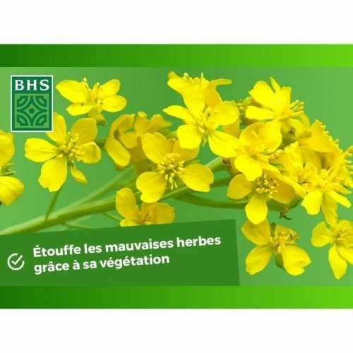 Biljno gnojivo BHS 500 g Cijena