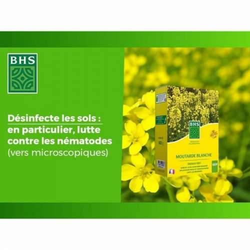 Biljno gnojivo BHS 500 g Cijena