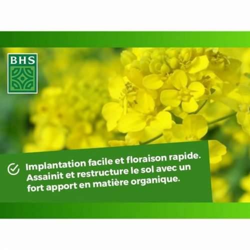 Biljno gnojivo BHS 500 g Cijena