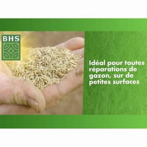 Zrna/žitarice BHS 500 g Cijena