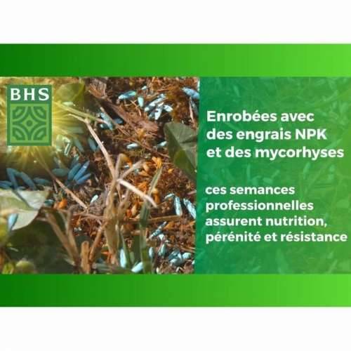 Zrna/žitarice BHS 1 kg Cijena