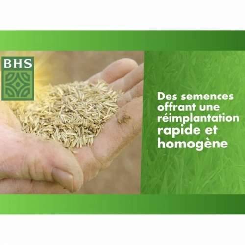 Zrna/žitarice BHS 1 kg Cijena