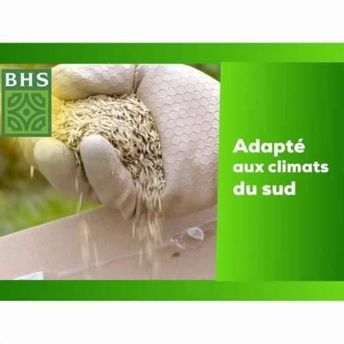 Zrna/žitarice BHS 10 kg Cijena