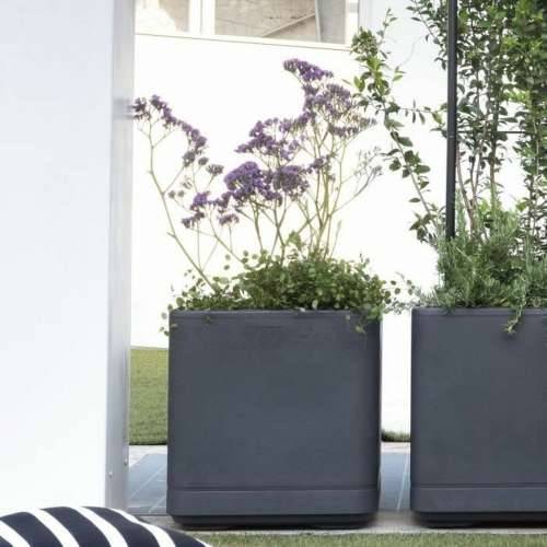 Posuda Deroma Antracitna 38 x 38 x 39 cm Plastika Kvadratno Kocka 38 cm Cijena