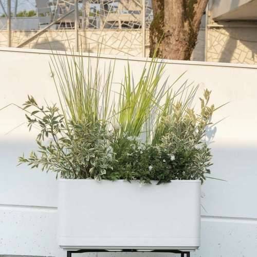 Žardinjera sa samozalijevanjem Deroma Biser 78 x 38 x 39 cm Plastika Pravokutno Ø 78 cm Cijena