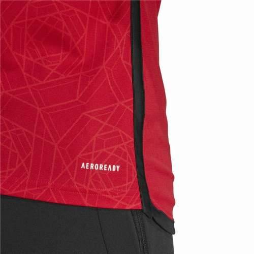 Muška Majica Kratkih Rukava Adidas Manchester United Cijena