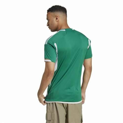 Muški Nogometni Dres Kratkih Rukava Adidas Algeria 22/23 Zelena Cijena