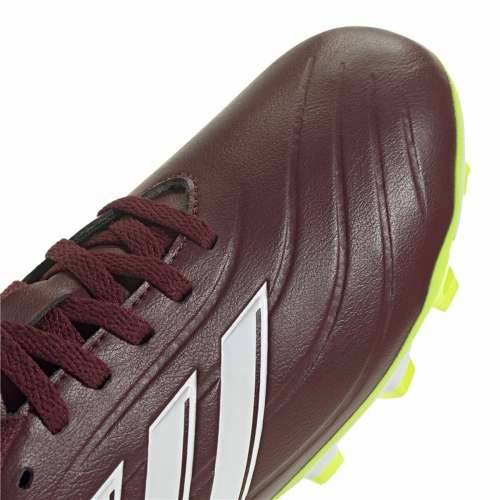 Kopačke za Odrasle Adidas Copa Pure 2 Club Fxg Smeđa Cijena