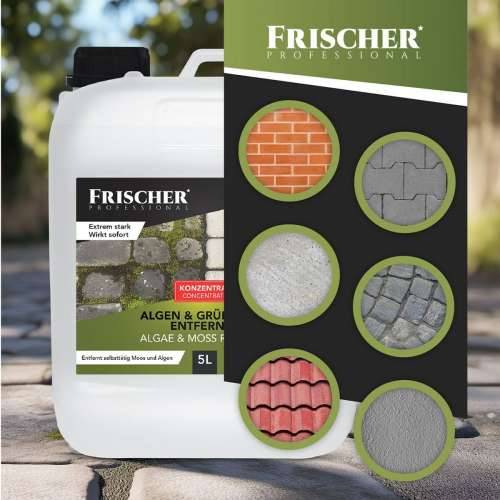 Usisavač za Čišćenje Prozora Frischer FR00241_5000 Cijena