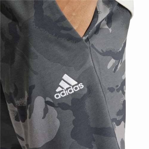 Sportske Kratke Hlače Adidas Camo Siva Cijena