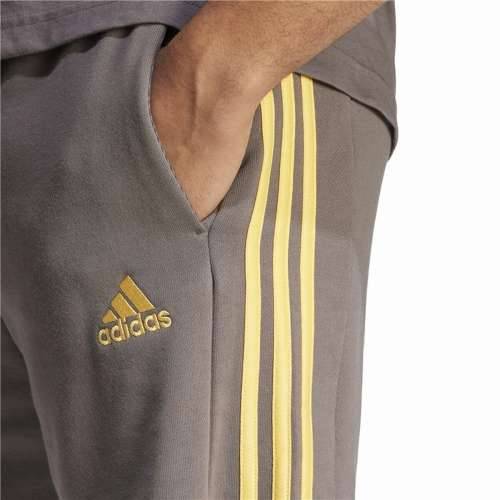 Sportske Kratke Hlače Adidas 3Bandas Ft Short Smeđa Cijena