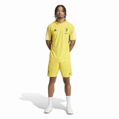 Sportske Kratke Hlače Adidas Juventus Rumena Cijena