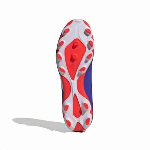Kopačke za Odrasle Adidas Predator Pro Cijena