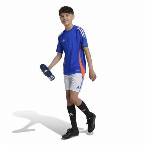 Futbalové tričko Adidas Tiro24 Plava Cijena