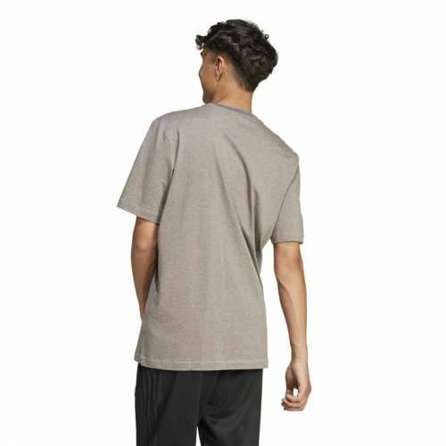 Muška Majica Kratkih Rukava Adidas Seasonal Essentials Smeđa Svjetlo siva Cijena