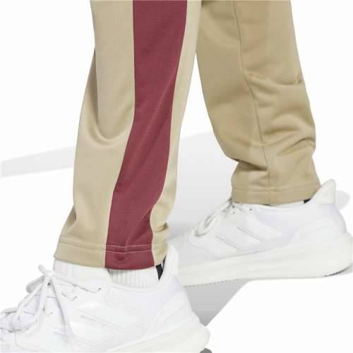 Trenirke Adidas Spw Small Logo Tricot Colorblock Bež Moški Cijena