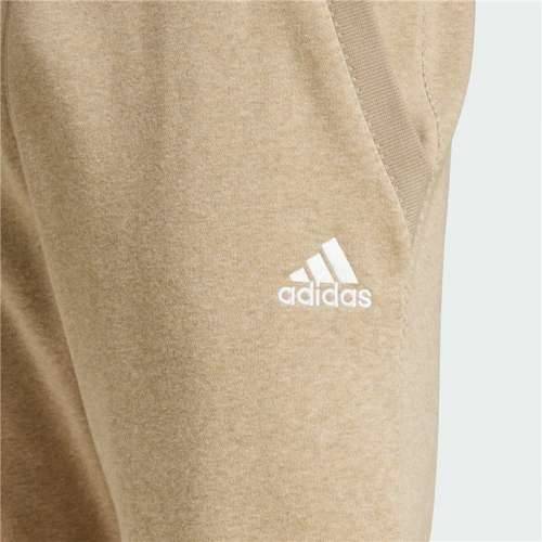 Dlhé športové nohavice Adidas Seasonal Essentials Melange Smeđa Moški Cijena