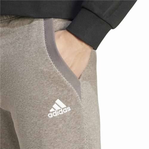 Dlhé športové nohavice Adidas Seasonal Essentials Melange Bež Moški Cijena