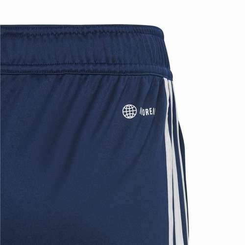 Sportske Kratke Hlače Adidas Tiro23 Cbtrshoy Plava Cijena