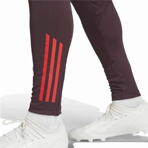 Dlhé športové nohavice Adidas Fc Bayern 24/25 Tiro24 Smeđa Granatna Moški Cijena