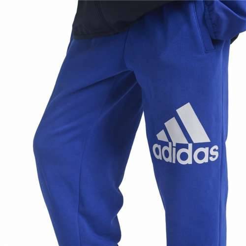 Dječji Sportski Šorc Adidas Essentials Plava Cijena