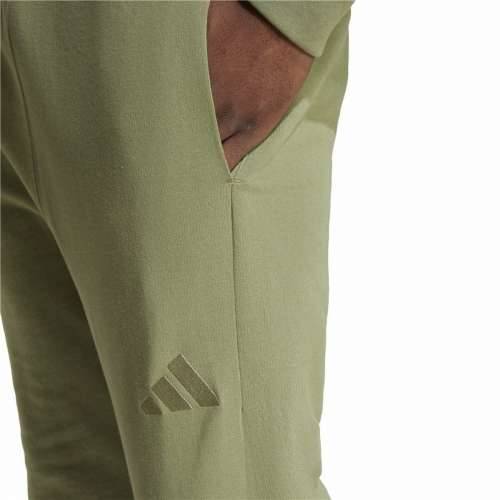 Dlhé športové nohavice Adidas Regular Tapered Zelena Moški Cijena