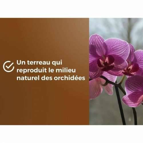 Zemlja za tegle OR BRUN 6 L Cijena