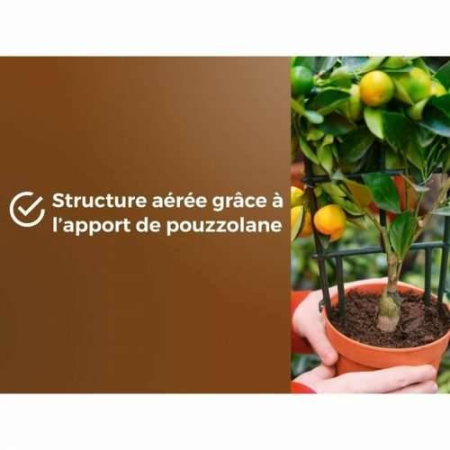 Zemlja za tegle OR BRUN 6 L Citrusi Cijena