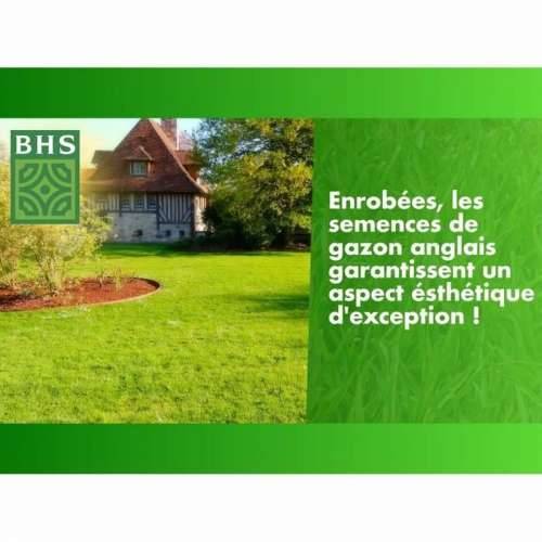 Zrna/žitarice BHS Gazon Anglais 10 kg Cijena