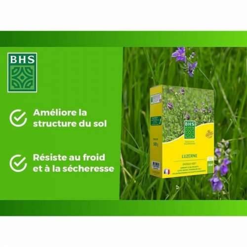 Zrna/žitarice BHS Luzerne Cijena