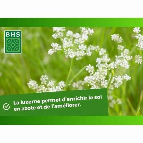 Zrna/žitarice BHS Luzerne Cijena