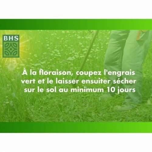 Zrna/žitarice BHS Trèfle Blanc 500 g Cijena