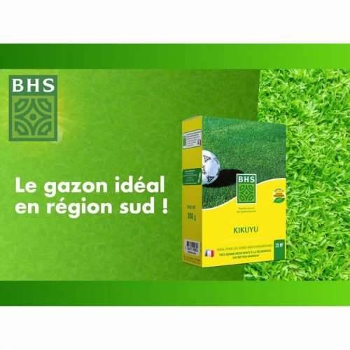 Zrna/žitarice BHS Dichondra Cijena