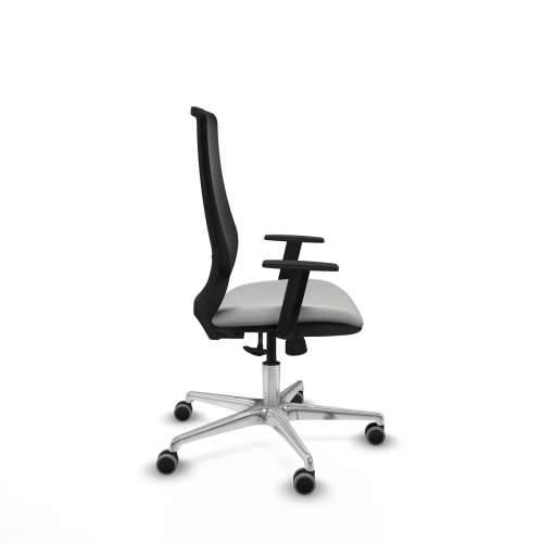 Uredska stolica Piqueras y Crespo D086G0W Svjetlo siva Cijena
